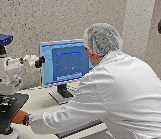 Estudiando meteoritos