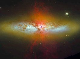 Desvelando los secretos de M82