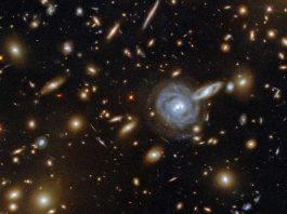 La paradoja de Fermi
