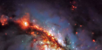 NGC1365